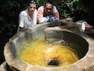 natural innovation foundation